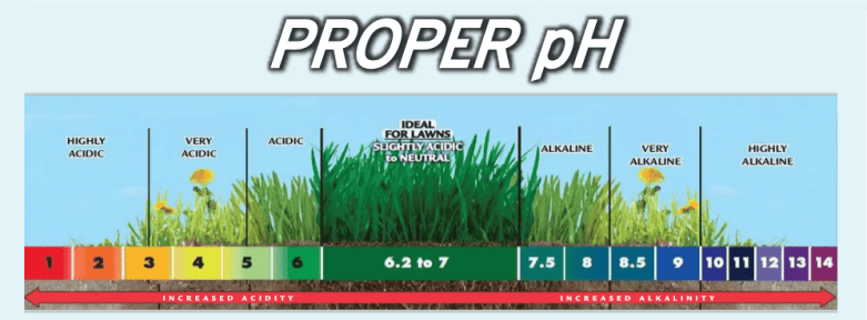PROPER pH VALUE