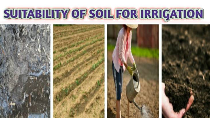 Suitability of soil for Irrigation