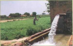 surface irrigation