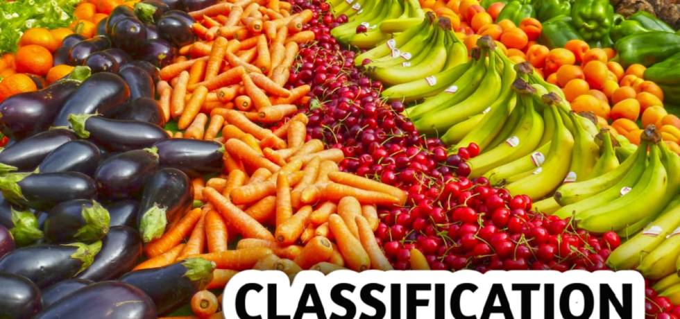 CLASSIFICATION OF CROPS