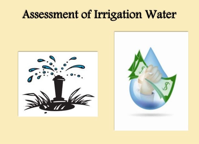 ASSESSMENT OF IRRIGATION WATER