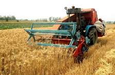 crop seasons,Rabi crop,Kharif crop,Zaid crops