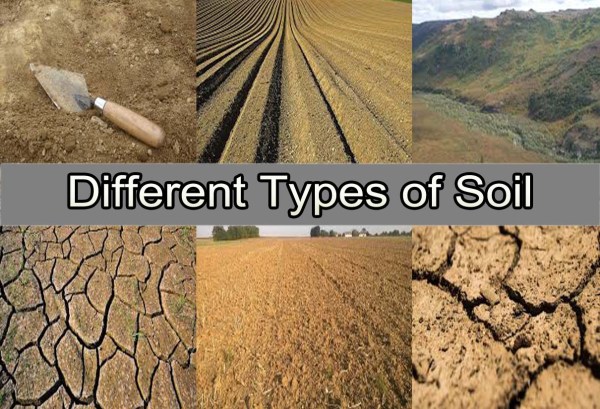 Different types of soil
