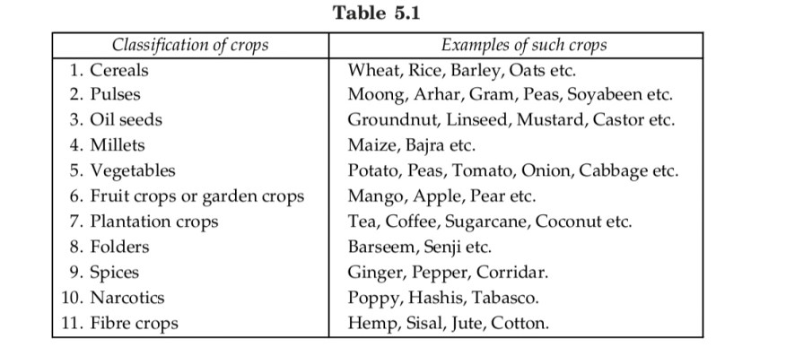 CLASSIFICATION OF CROPS