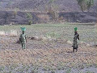 the term soil