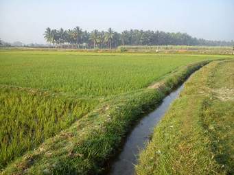 weather of Rabi season