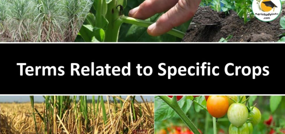 Some important terms as applied to crops