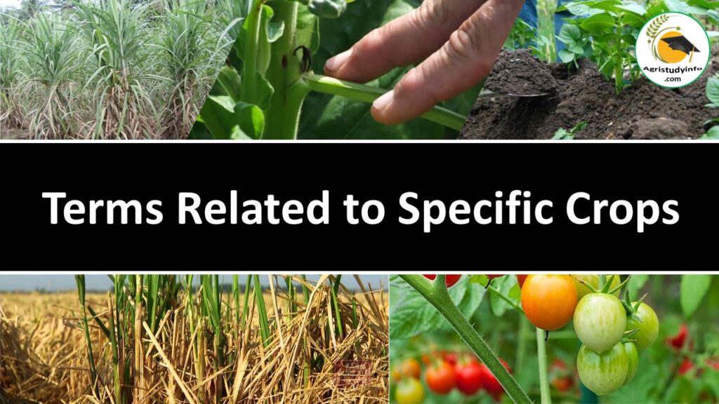 Some important terms as applied to crops