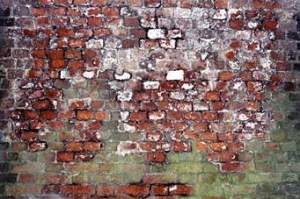 Test for efflorescence Tests for burnt clay bricks as per IS : 3495-1976