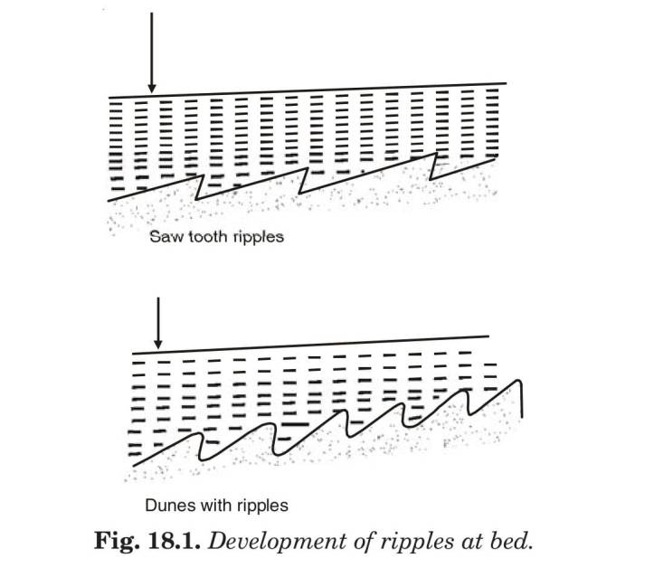 Development of ripples at bed. 