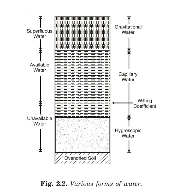 Various forms of water
