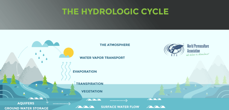 HYDROLOGY AND HYDROLOGICAL CYCLE
