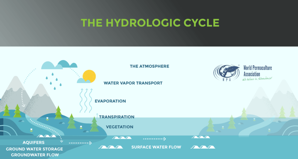 HYDROLOGY AND HYDROLOGICAL CYCLE