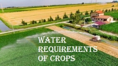 WATER REQUIREMENTS OF CROPS