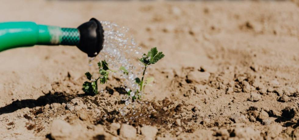 Presence Of Water In Soil