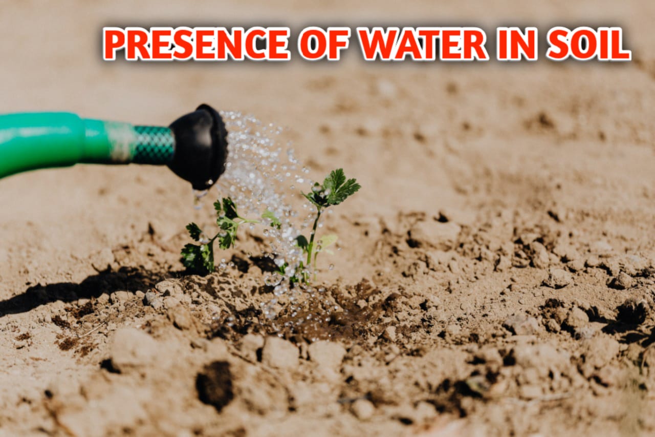 Presence Of Water In Soil
