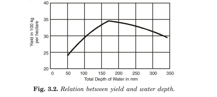 Relation between yield and water depth.