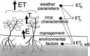 water requirements of crops