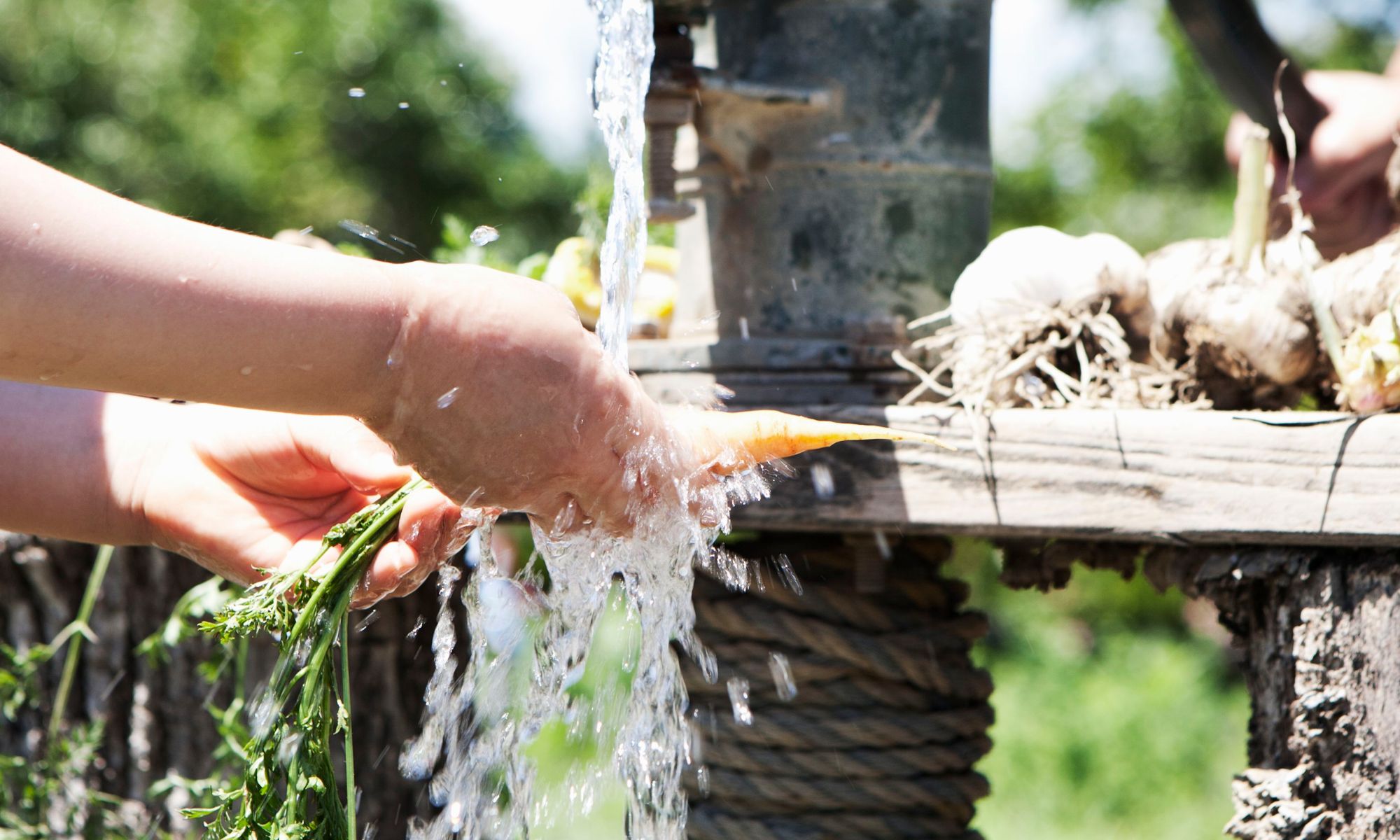 Driving or Drilling Your Own Well