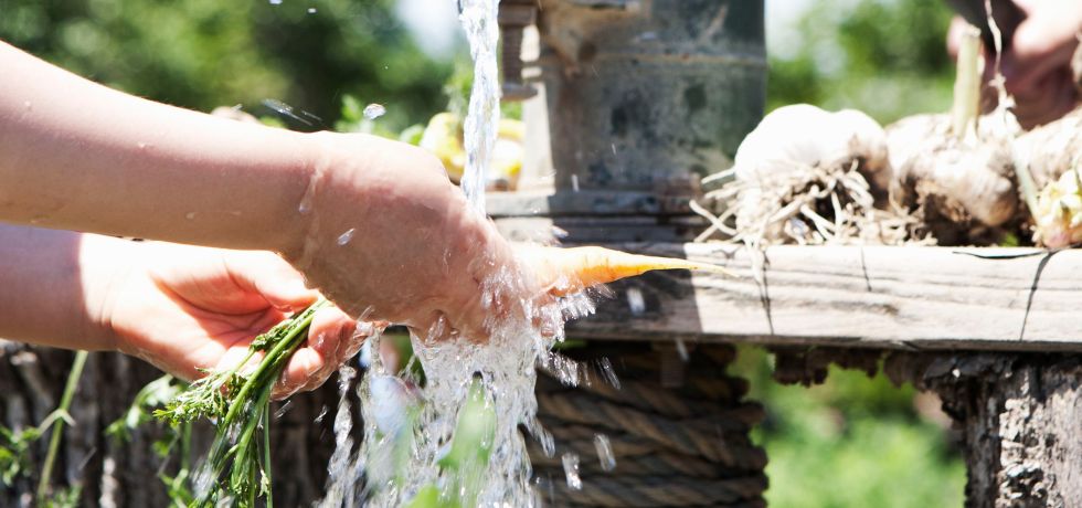 Driving or Drilling Your Own Well