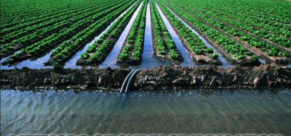 METHODS OF SURFACE IRRIGATION