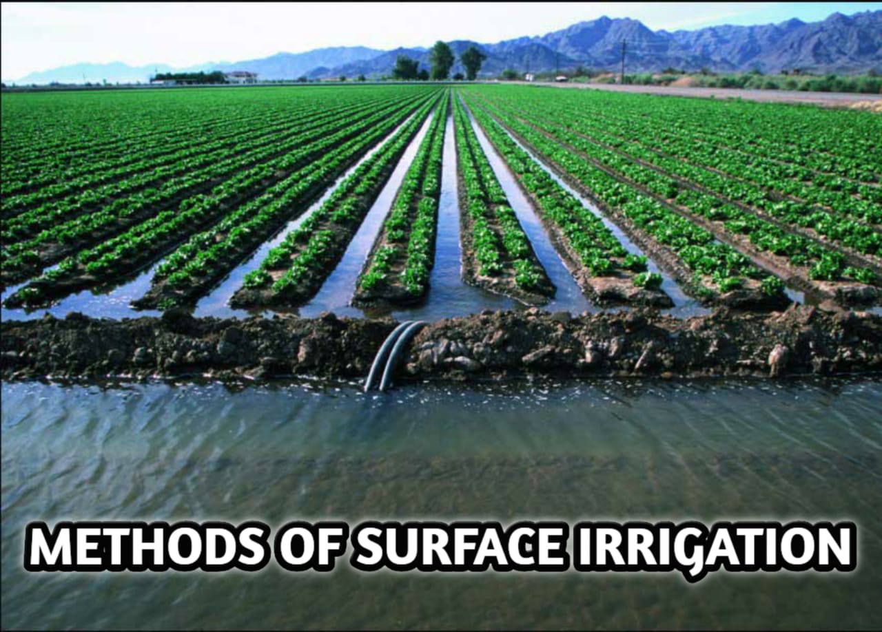 METHODS OF SURFACE IRRIGATION