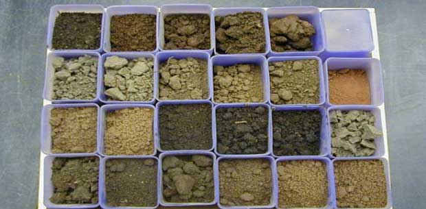 Different types of soil present in india