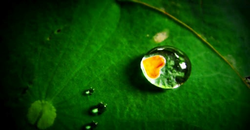WATER REQUIREMENTS OF CROPS