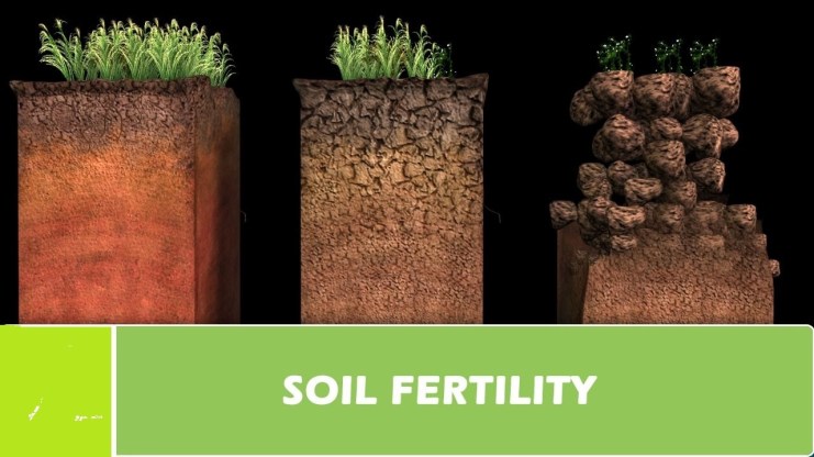 METHODS OF IMPROVING FERTILITY OF LAND
