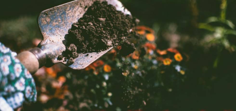 Classification of Soil