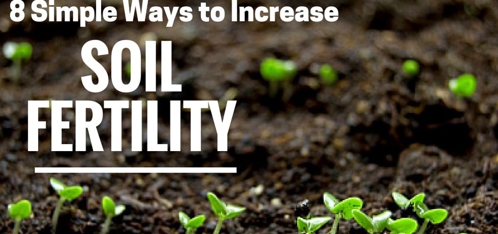 METHODS OF IMPROVING FERTILITY OF LAND