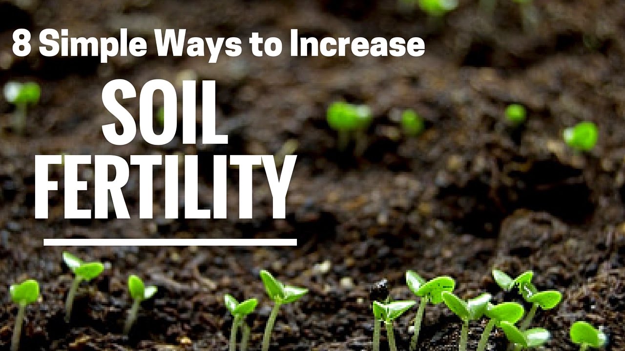 METHODS OF IMPROVING FERTILITY OF LAND