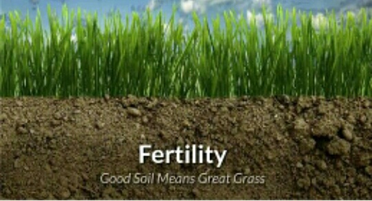 FERTILITY OF SOIL