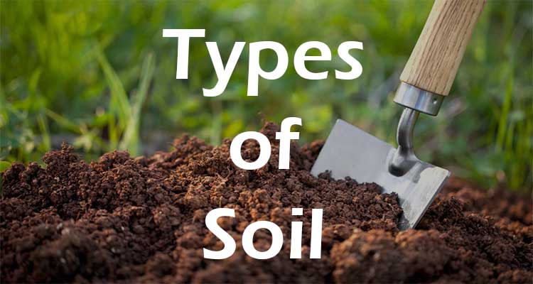 Type of soil